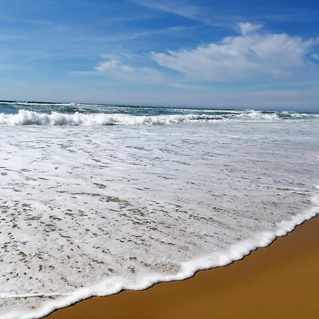 Renove A : Et Commerces A Pied, Terrasse Et Wifi Inclus - Fr-1-239-1081 * Seignosse