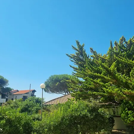 Renove A : Et Commerces A Pied, Terrasse Et Wifi Inclus Apartment