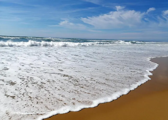 Renove A : Et Commerces A Pied, Terrasse Et Wifi Inclus - Fr-1-239-1081 * سانيوس