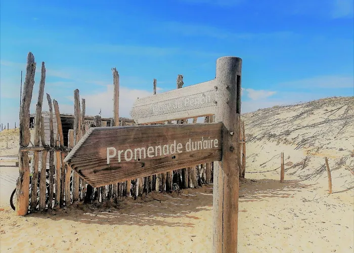 Apartamento Rénové à : Et Commerces à Pied, Terrasse Et Wifi Inclus - Fr-1-239-1081 Seignosse